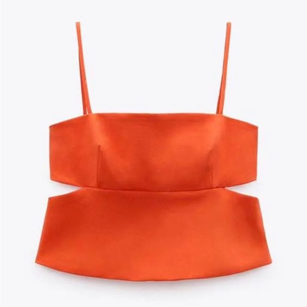 Zara Cut Out Crop Top